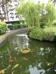 Bullion Park (D26), Condominium #579660611